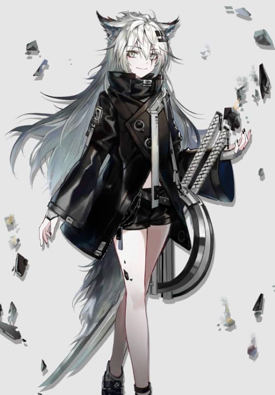 特性・評価:ラップランド