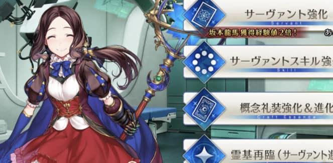 サーヴァントを育成・攻略